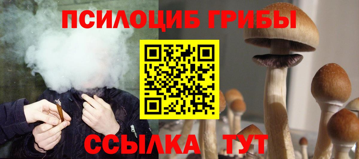Галлюциногенные грибы GOLDEN TEACHER Усть-Джегута